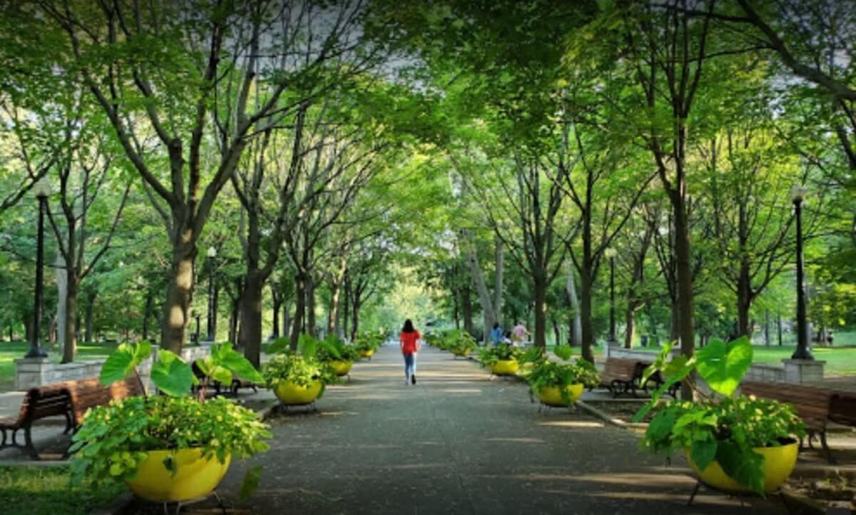 Apartamento Ideal Group In Charming Le Plateau Near Metro Montreal